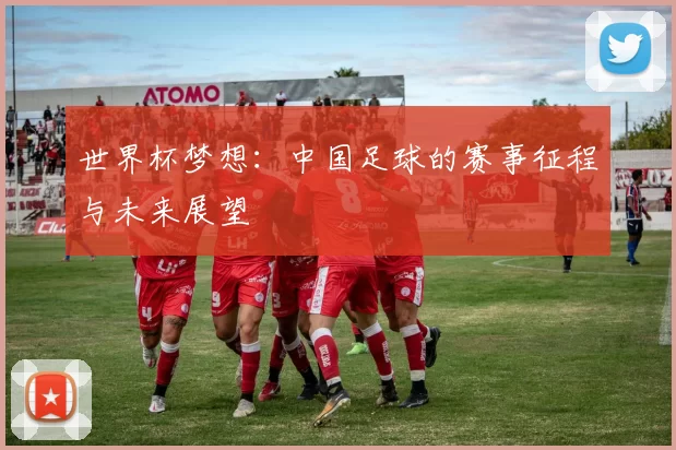 世界杯梦想：中国足球的赛事征程与未来展望