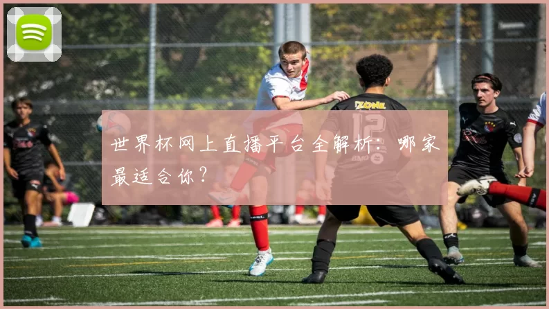 世界杯网上直播平台全解析:哪家最适合你?