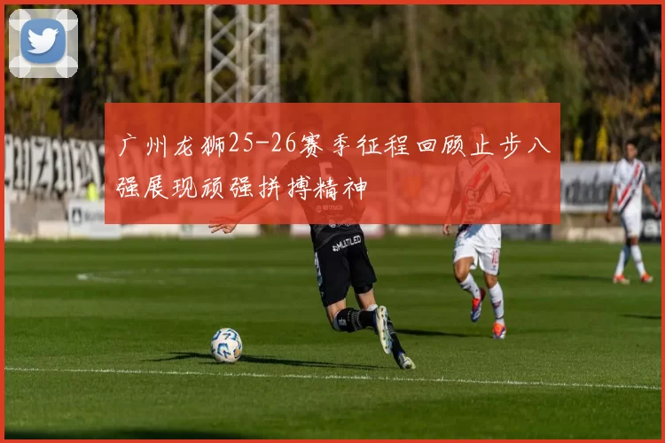 广州龙狮25-26赛季征程回顾止步八强展现顽强拼搏精神