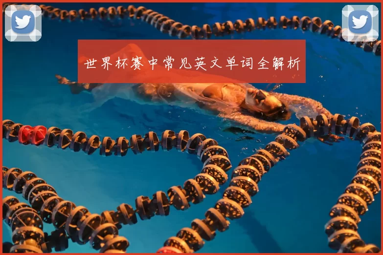 世界杯赛中常见英文单词全解析