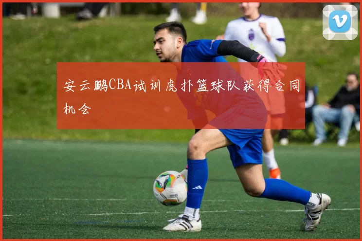安云鹏CBA试训虎扑篮球队获得合同机会