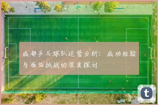 成都乒乓球队运营分析:成功经验与面临挑战的深度探讨