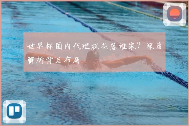 世界杯国内代理权花落谁家?深度解析背后布局