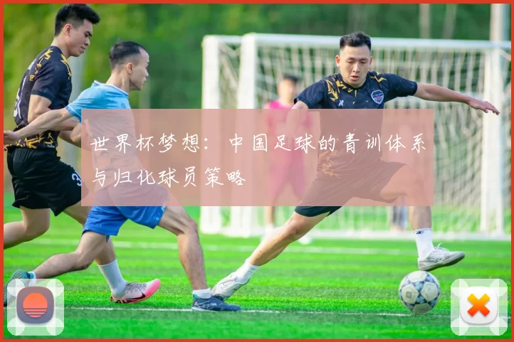 世界杯梦想:中国足球的青训体系与归化球员策略