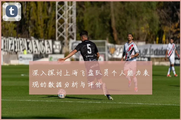 深入探讨上海飞盘队员个人能力表现的数据分析与评价