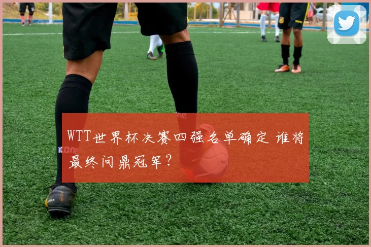 WTT世界杯决赛四强名单确定 谁将最终问鼎冠军?