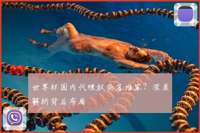 世界杯国内代理权花落谁家?深度解析背后布局