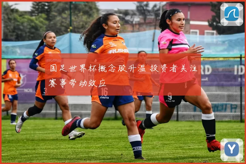 国足世界杯概念股升温 投资者关注赛事带动效应