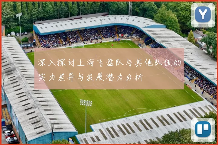 深入探讨上海飞盘队与其他队伍的实力差异与发展潜力分析