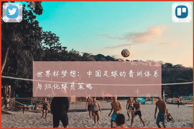 世界杯梦想:中国足球的青训体系与归化球员策略