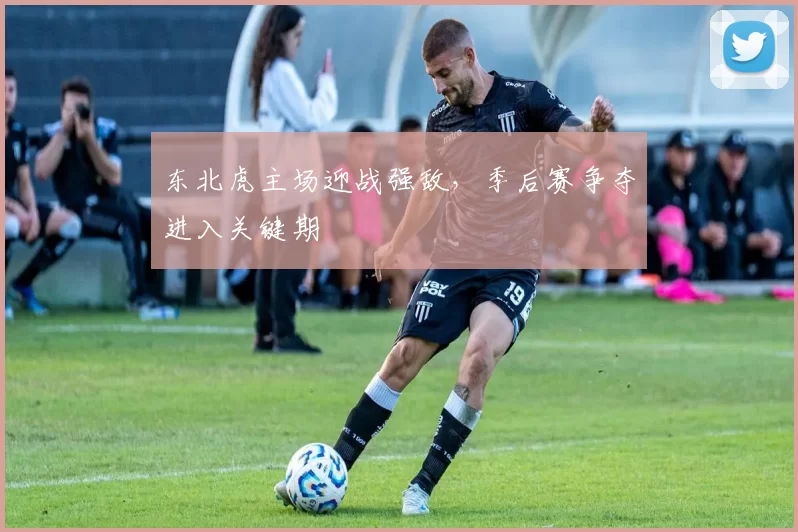 东北虎主场迎战强敌，季后赛争夺进入关键期