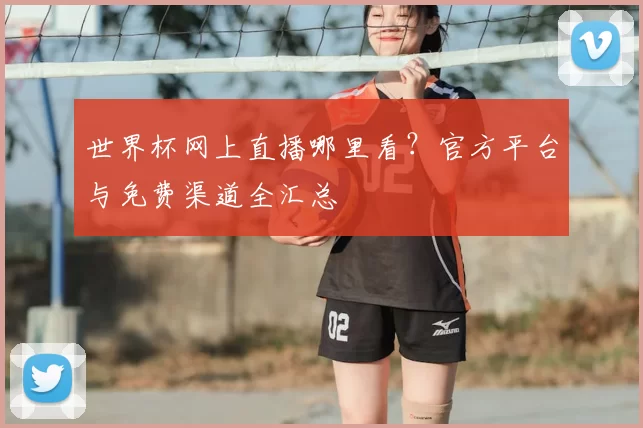 世界杯网上直播哪里看?官方平台与免费渠道全汇总