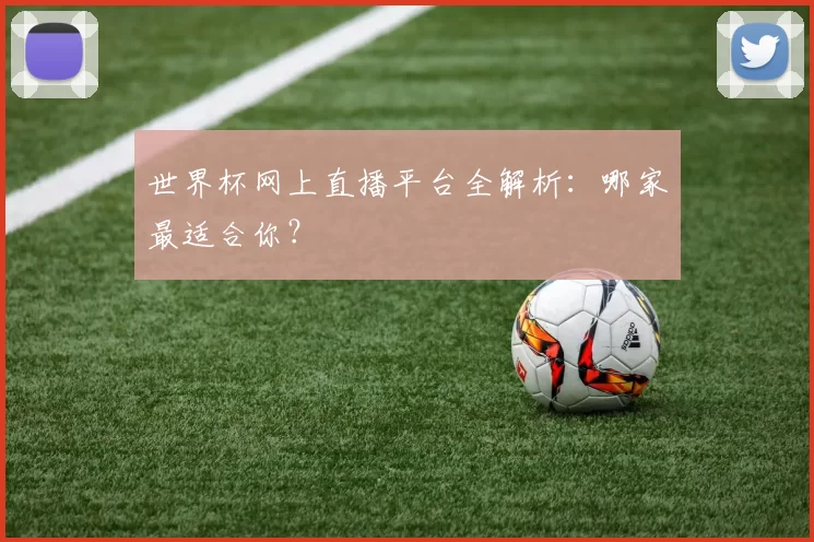 世界杯网上直播平台全解析:哪家最适合你?